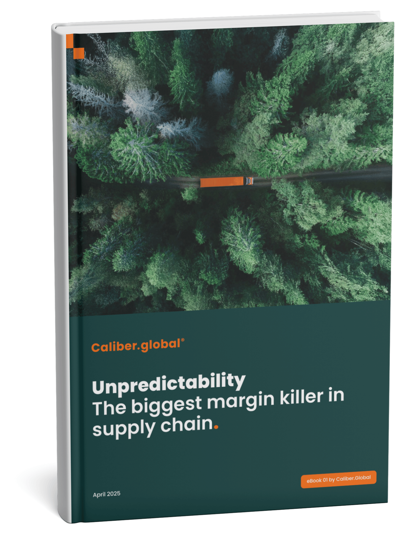 Mockup eBook about Unpredictability in supply chains.