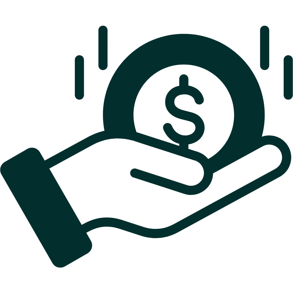 Budget management icon (2)